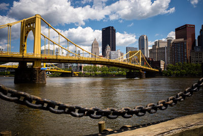 Andy warhol bridge across the allegheny river,  pittsburgh providing a picturesque backdrop.