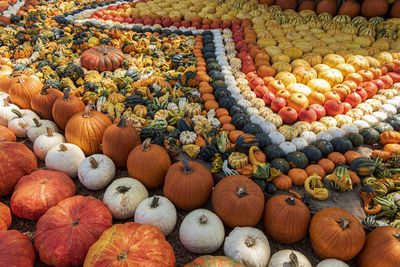 High angle view of pumpkins for sale at market stall