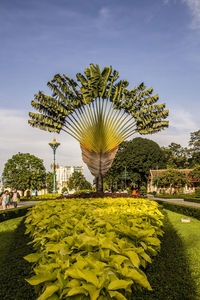 Scenic view of park against sky