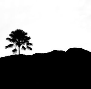 Low angle view of silhouette palm trees against clear sky