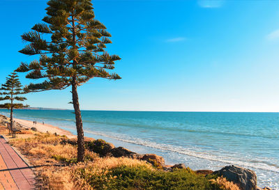 Scenic view of sea against clear blue sky