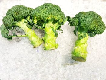 High angle view of green leaves on table