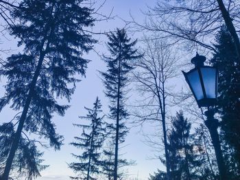 Low angle view of street light against sky