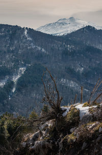 Scenic view of snowcapped mountains