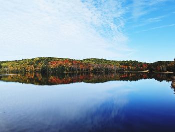 reflection