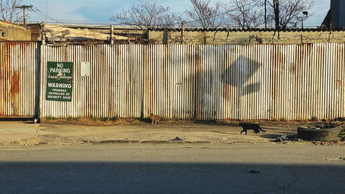 View of zebra crossing