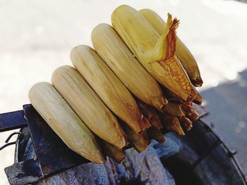 High angle view of shells on wood