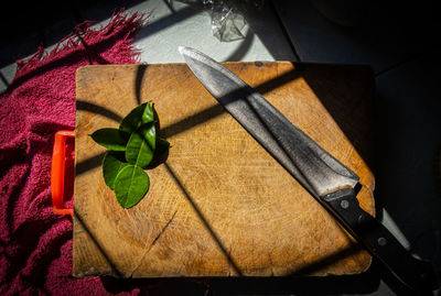 High angle view of potted plant on table