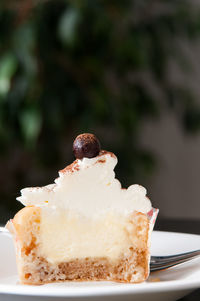 Close-up of cake slice in plate