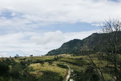 Scenic view of landscape against sky