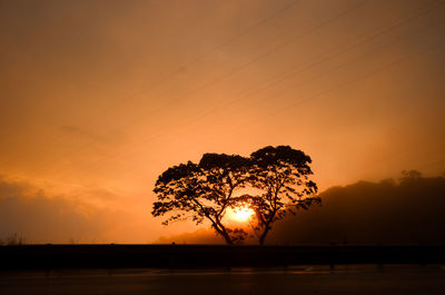 Silhouette tree on field against orange sky