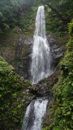 View of waterfall in forest