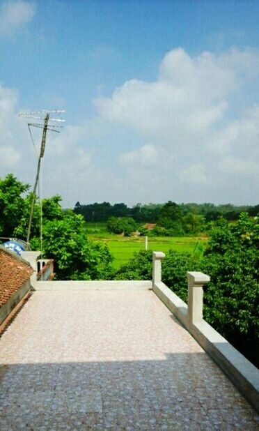 tree, sky, cloud - sky, growth, cloud, green color, built structure, railing, tranquility, nature, tranquil scene, plant, beauty in nature, mountain, day, architecture, outdoors, scenics, building exterior, lush foliage