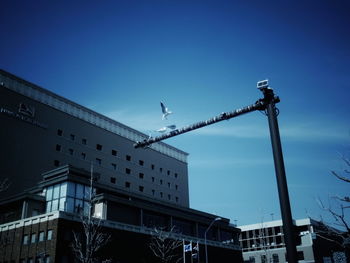 Low angle view of bird perching on building against blue sky