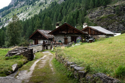 House amidst trees and buildings against sky