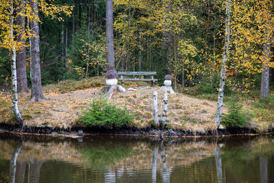 View of a lake in the forest