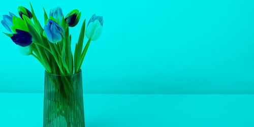 Close-up of white flower vase against blue background