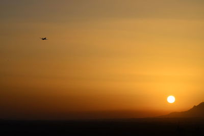 Silhouette bird flying against orange sky