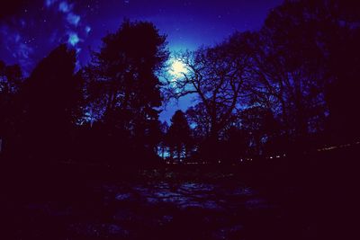 Silhouette trees against sky at night