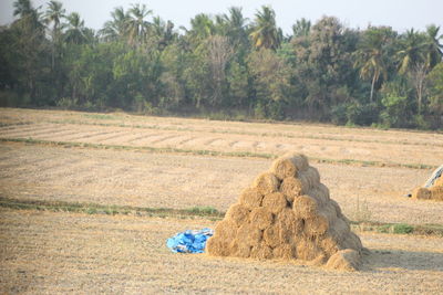 Hay bales on field by trees against sky