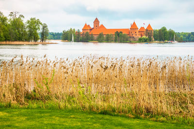 Plants at lake galve against trakai island castle