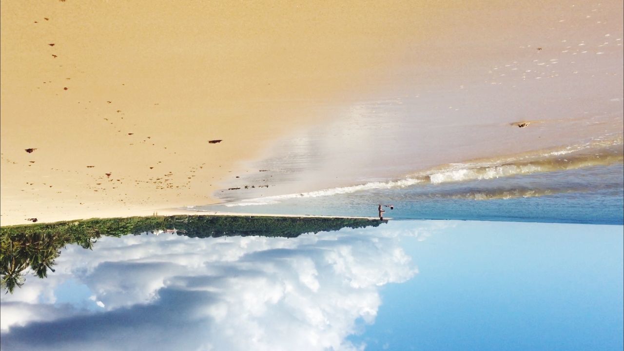 flying, nature, tree, sky, mountain, cloud - sky, day, outdoors, beauty in nature, motion, no people, extreme sports