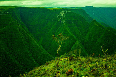 Scenic view of landscape