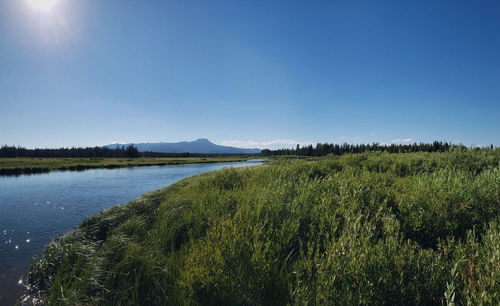 Scenic view of lake against clear blue sky