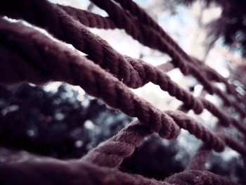 Close-up of rope on snow