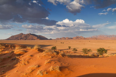 Scenic view of desert against sky