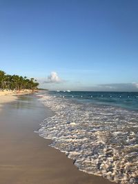 Scenic view of beach