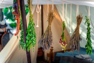 Potted plants hanging at market stall