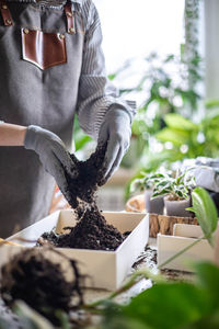 Midsection of man holding potted plant