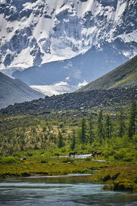 Scenic view of lake by snowcapped mountains