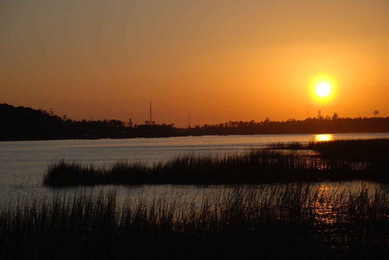 Wando River