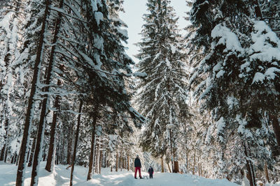 Mother and daughter on snow in woods