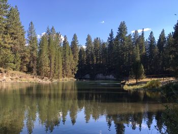 Scenic view of lake by trees against sky