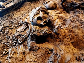 Close-up of rock formation in cave