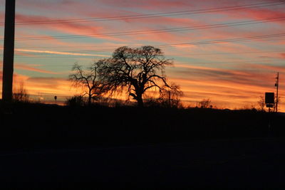 Silhouette of trees at sunset