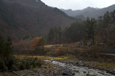 Scenic view of trees and mountains against sky