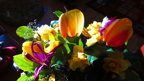 Close-up of yellow flower