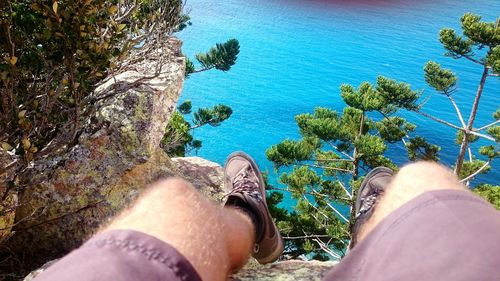 Low section of person relaxing on tree trunk