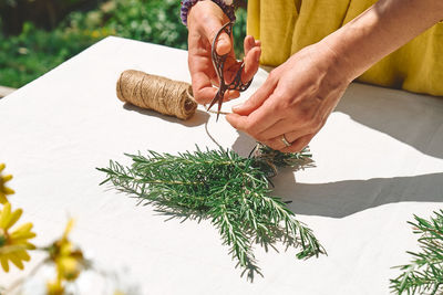 Alternative medicine. collection and drying of herbs. woman holding in her hands a bunch of rosemary