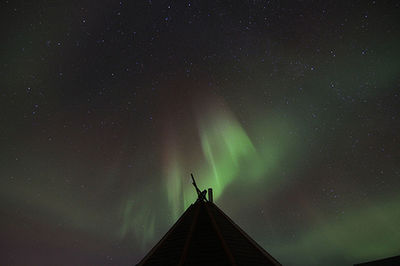 Low angle view of stars against sky at night