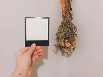 Close-up of hand holding instant print transfer against flowers hanging on wall