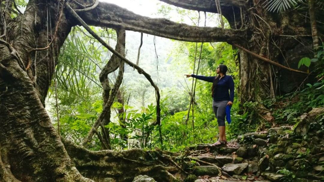 FULL LENGTH OF MAN PHOTOGRAPHING AT FOREST