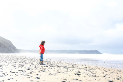 Rear view of man on beach against sky
