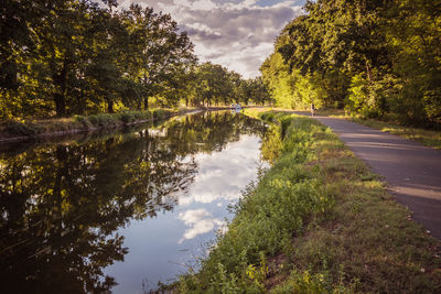 Scenic view of canal in forest against sky