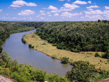 Scenic view of river amidst trees against sky