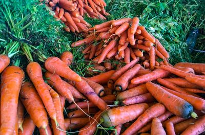 High angle view of carrots for sale at market